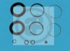 AUTOFREN SEINSA D4187 Repair Kit, brake caliper